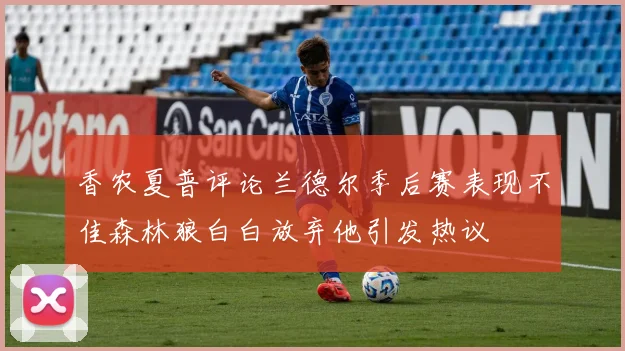香农夏普评论兰德尔季后赛表现不佳森林狼白白放弃他引发热议