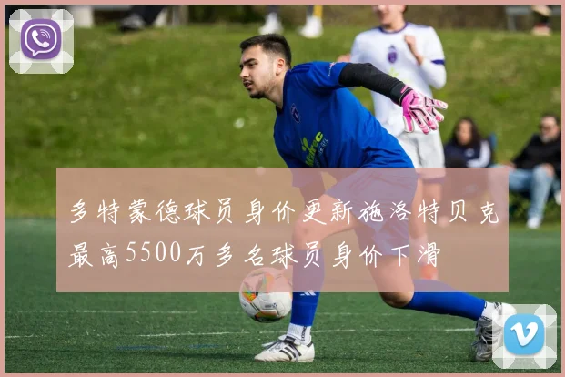 多特蒙德球员身价更新施洛特贝克最高5500万多名球员身价下滑